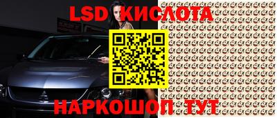 винт Сланцы