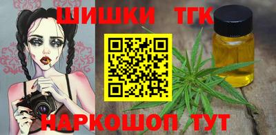 винт Сланцы