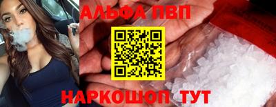 гашик Славгород