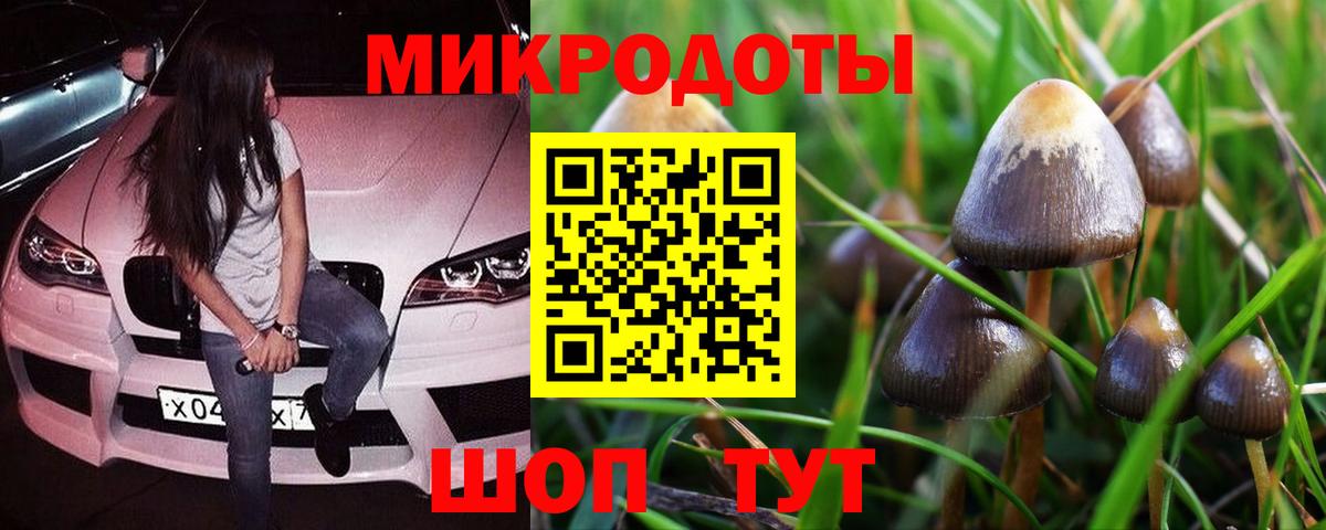 Псилоцибиновые грибы мухоморы Нерюнгри